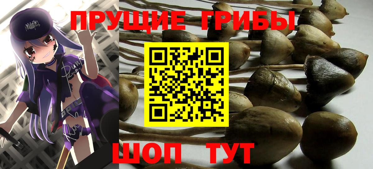 Галлюциногенные грибы Psilocybe  магазин  наркотиков  Набережные Челны  Вход с VPN 